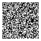 Tint Tech Saskatoon QR Card