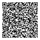 All Pro Magic Steam QR Card