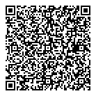 Dmytryshyn  Son Ltd QR Card