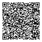 Mnp LLP QR Card