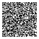 P  L Consulting Ltd QR Card