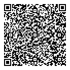 Balaski Ltd QR Card