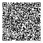 Mr Electric QR Card