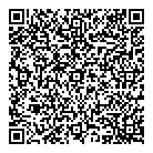 Arctic Ice Limousine QR Card