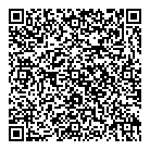 Sgi Salvage QR Card