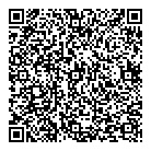 Schock Power QR Card