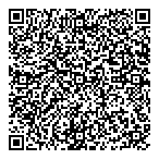 Gmt Financial Strategies Inc QR Card