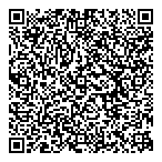 Free Lense Photographic QR Card