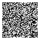 Mnp LLP QR Card