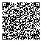 L N Consulting Intl QR Card