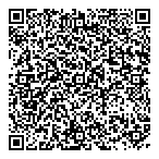 Gmt Financial Strategies Inc QR Card