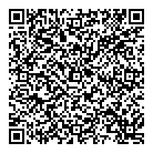 Pek Detailing QR Card