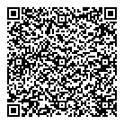 Mnp LLP QR Card