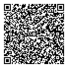 Crystal Vision Optical QR Card