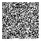 Gmr Electric Motors Ltd QR Card