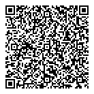 Village Auto Sales QR Card