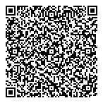 Holinaty Developments Inc QR Card