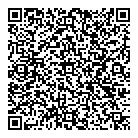 Timeless Puzzles  Toys QR Card