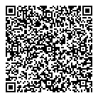 Microplay Video Games QR Card