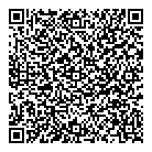 Rapicon Inc QR Card