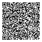 Lake Placid Developments Ltd QR Card