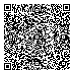 Light Speed Logistics Inc QR Card