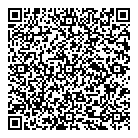 Gemineu Welding Ltd QR Card