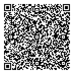 Triumph Well Services Ltd QR Card