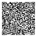 Northstar Project Solutions QR Card