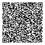 Bridgenet Services Ltd QR Card