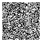 De Lage Landen Financial Services QR Card