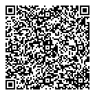 Geodyssey Limited QR Card