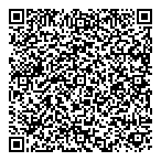 Serendipity Solutions Inc QR Card