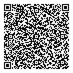 Hls Data Solutions Ltd QR Card