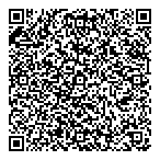 Mountainview Systems Ltd QR Card