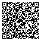 D J Consulting QR Card