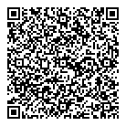 Vch Enterprises Inc QR Card