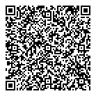 Star Consulting QR Card