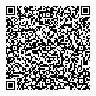 P T Analysis Inc QR Card