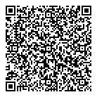 A V Strategies Ltd QR Card