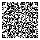 Dieision Group QR Card