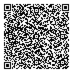 Alde Auto Services Ltd QR Card