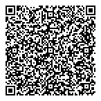 Platinum Engineering Ltd QR Card