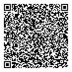 Vgs Precious Metals Inc QR Card