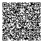 Lasyds Dancewear QR Card