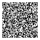 Dollar Smart QR Card