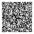 Lgs Consulting QR Card
