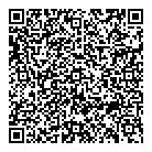 Strategy Wise Co QR Card