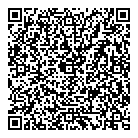 Stealth Electric QR Card