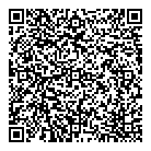 Blacksteel Energy Inc QR Card